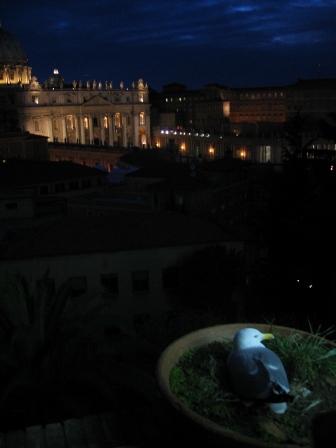 Vaticano, 2005. La paloma también incuba
